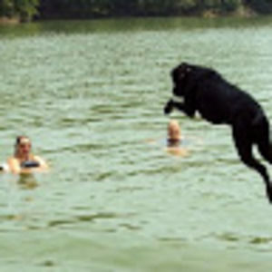 Meet your Posher, Leah